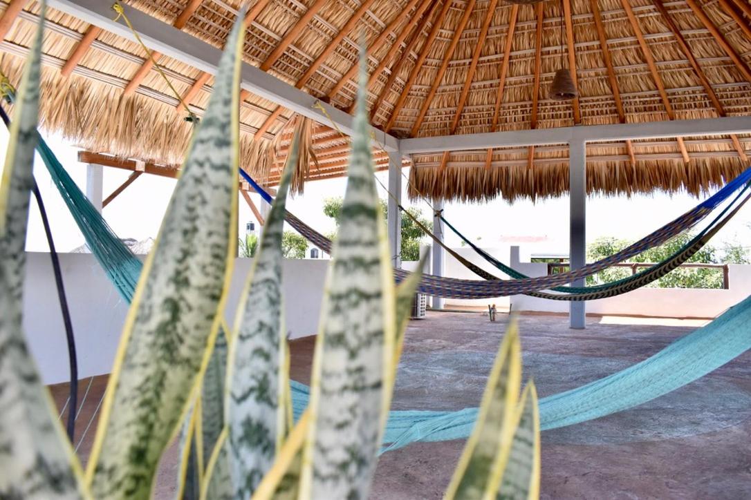 Carri Surf Studio 24/31