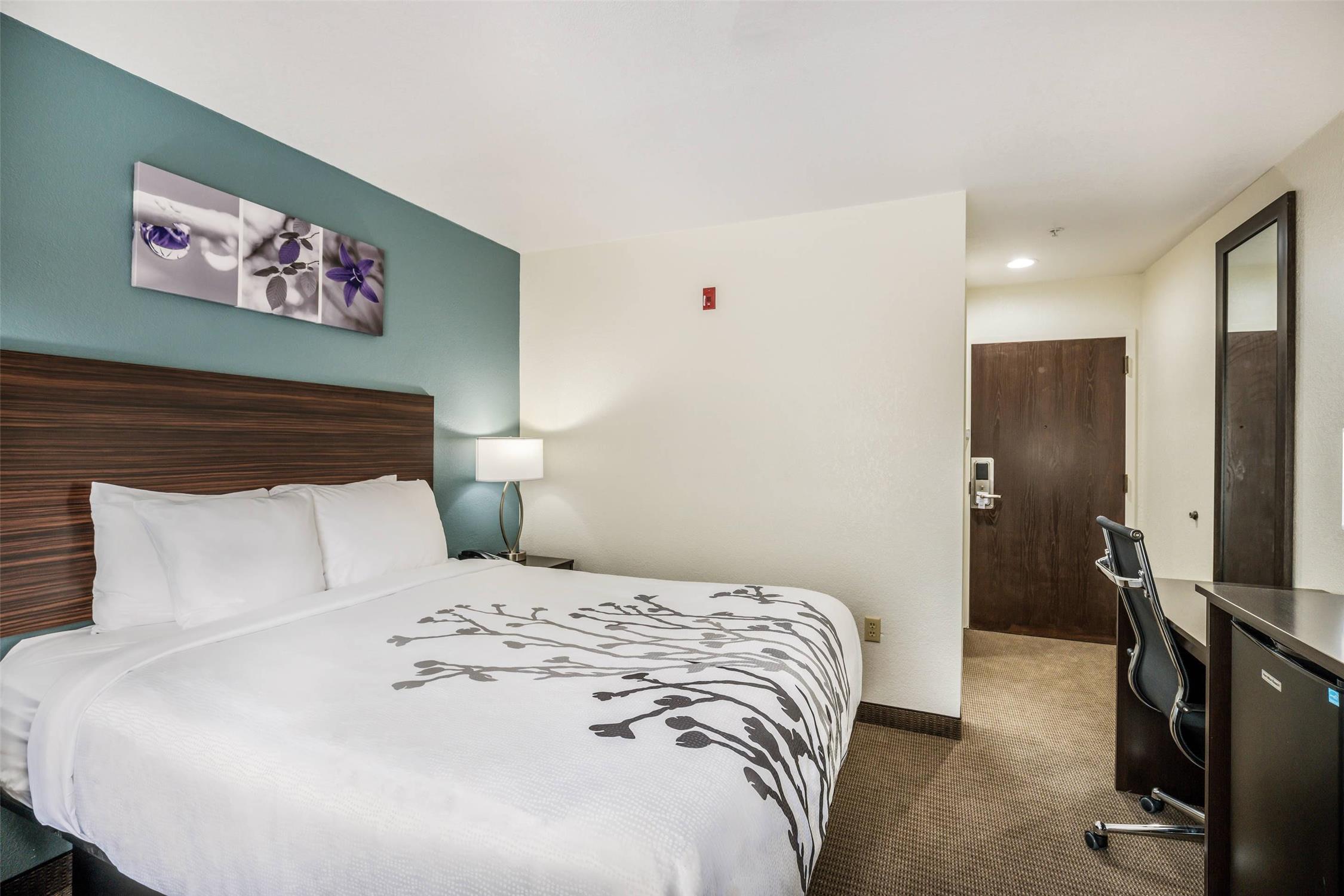 Room, Queen Bed
