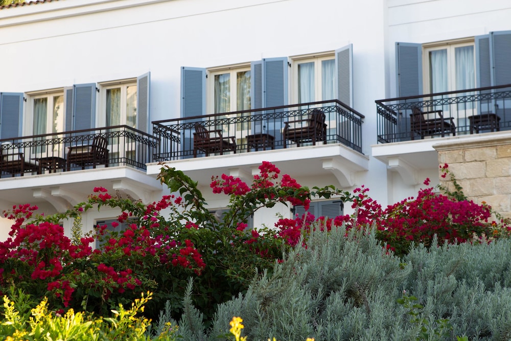 Anassa in Neo Chorio