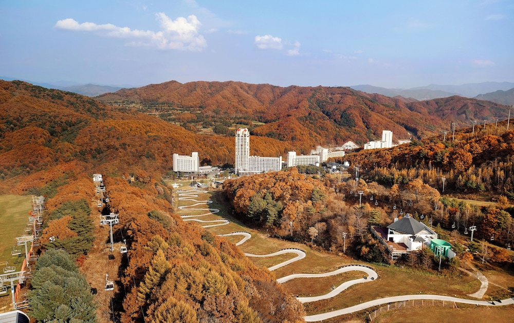 Phoenix Resort Pyeongchang 45/48