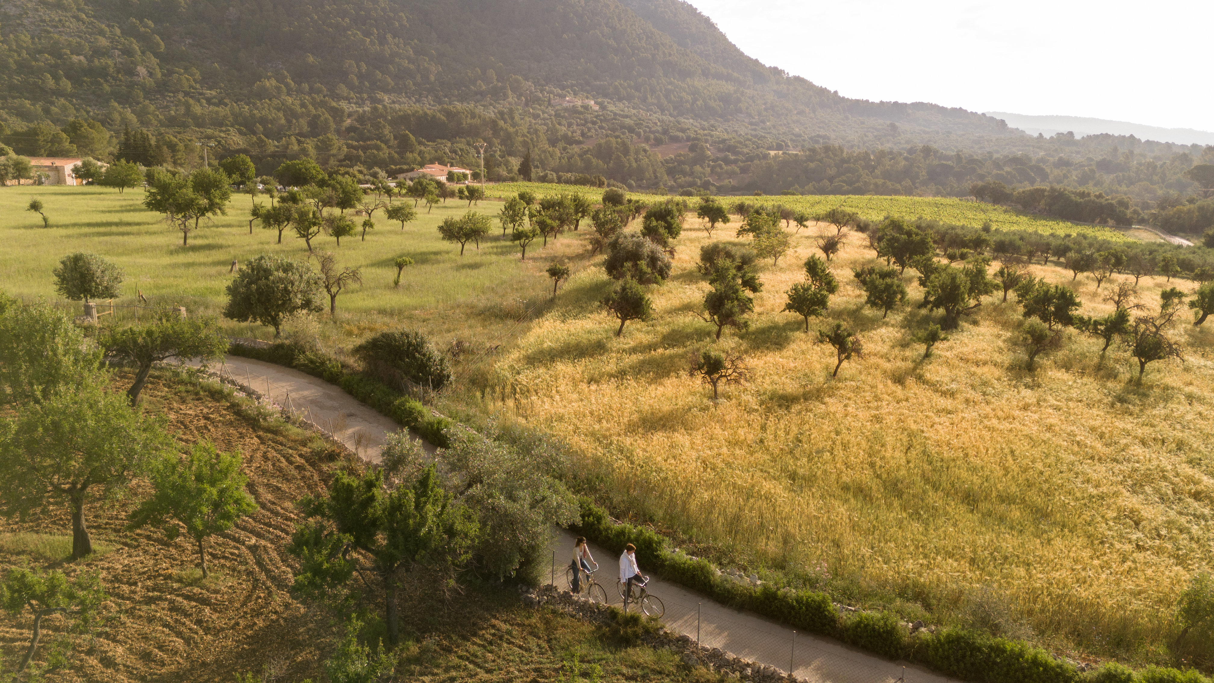 Finca Hotel Can Beneit 13/23