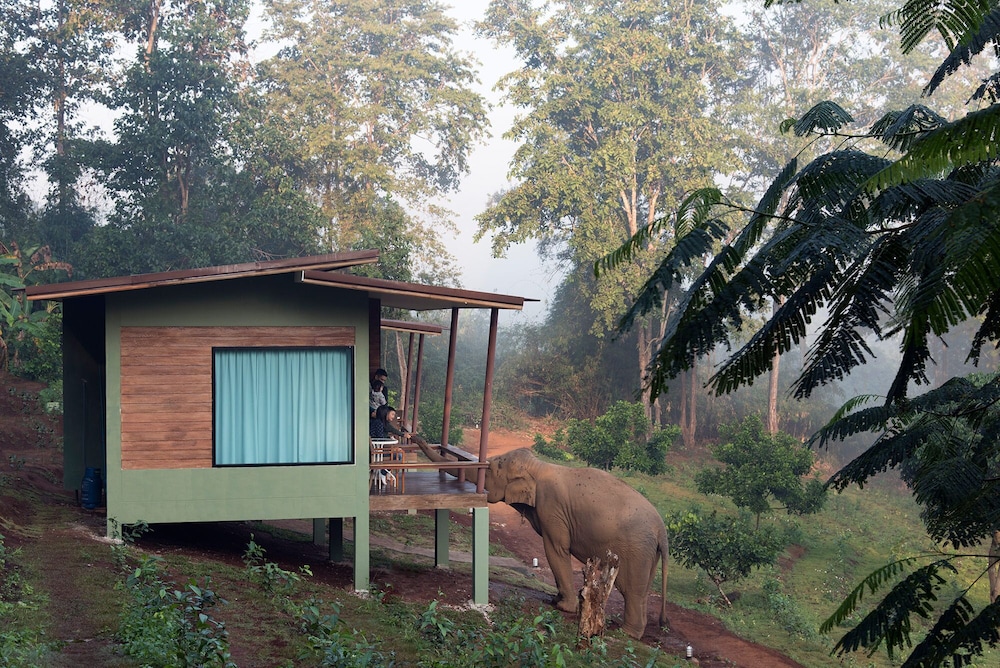 Chiang Mai Elephant Friends 7/50