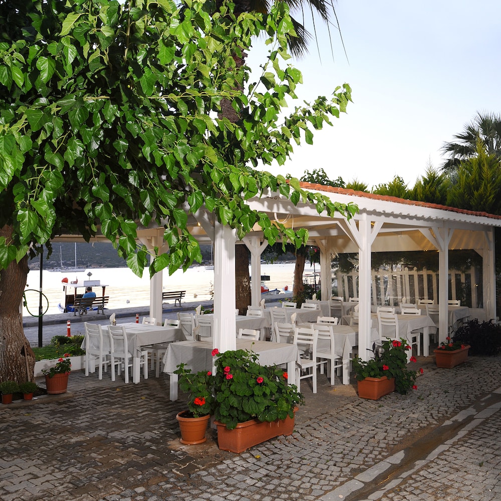 Teos Lodge Pansiyon & Restaurant 4/55