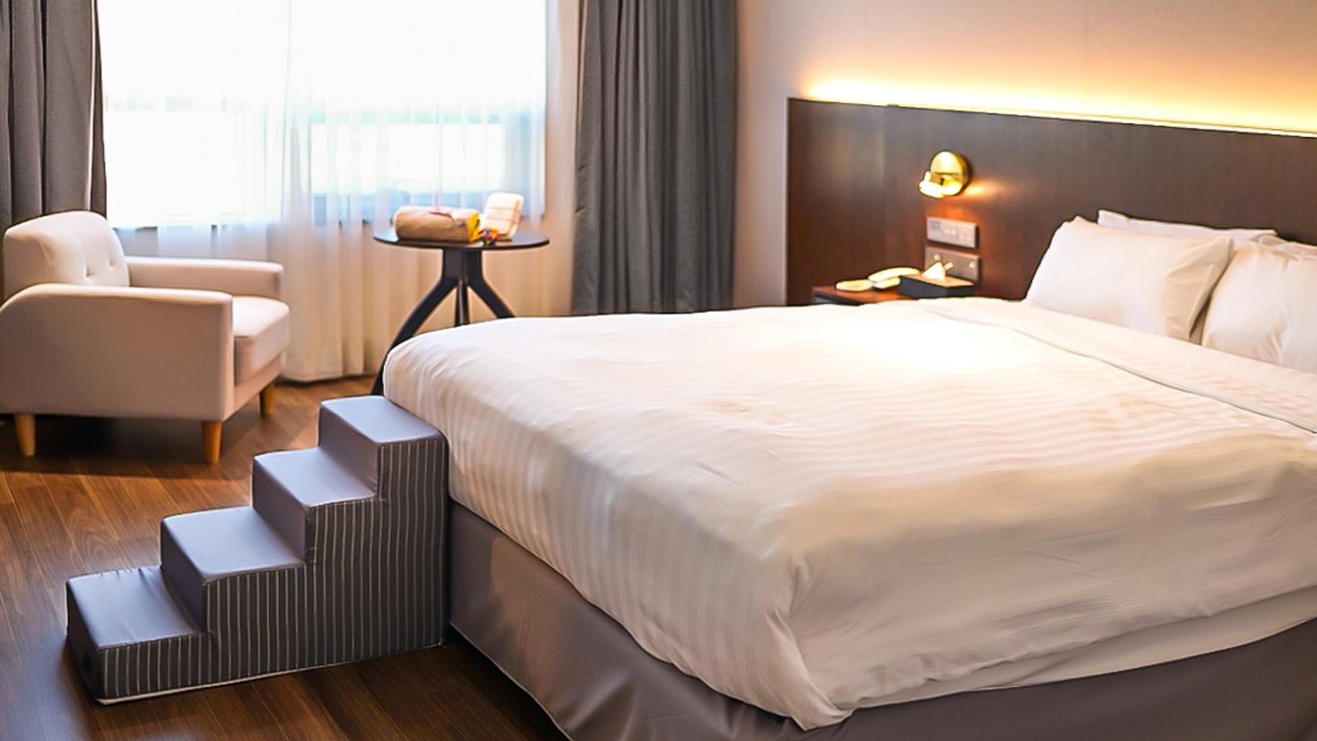 Room, Double Bed, Pet Friendly