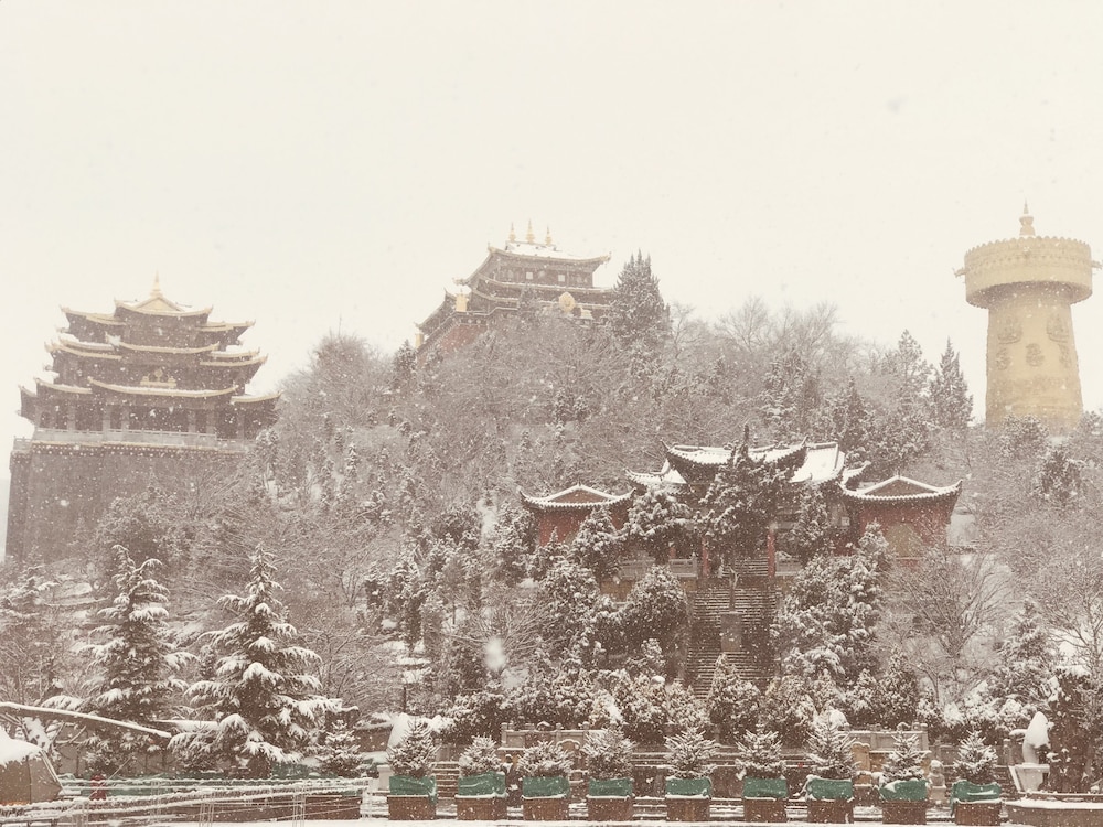 Arro Khampa by Zinc Journey Shangri-la 68/72