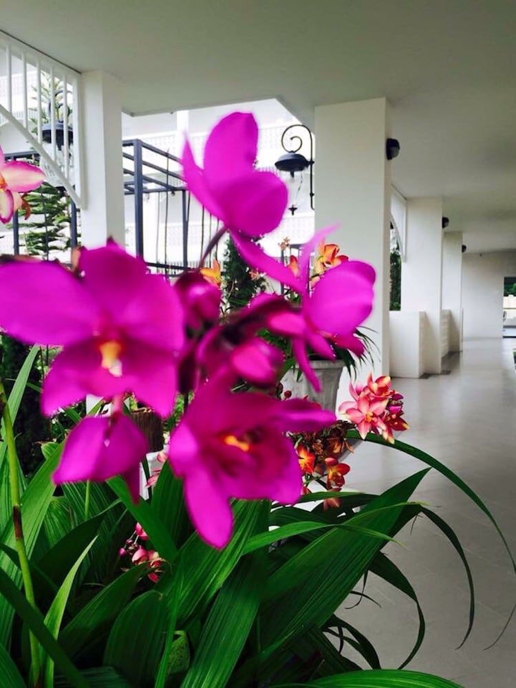 Koranaree Courtyard Boutique Hotel 23/39