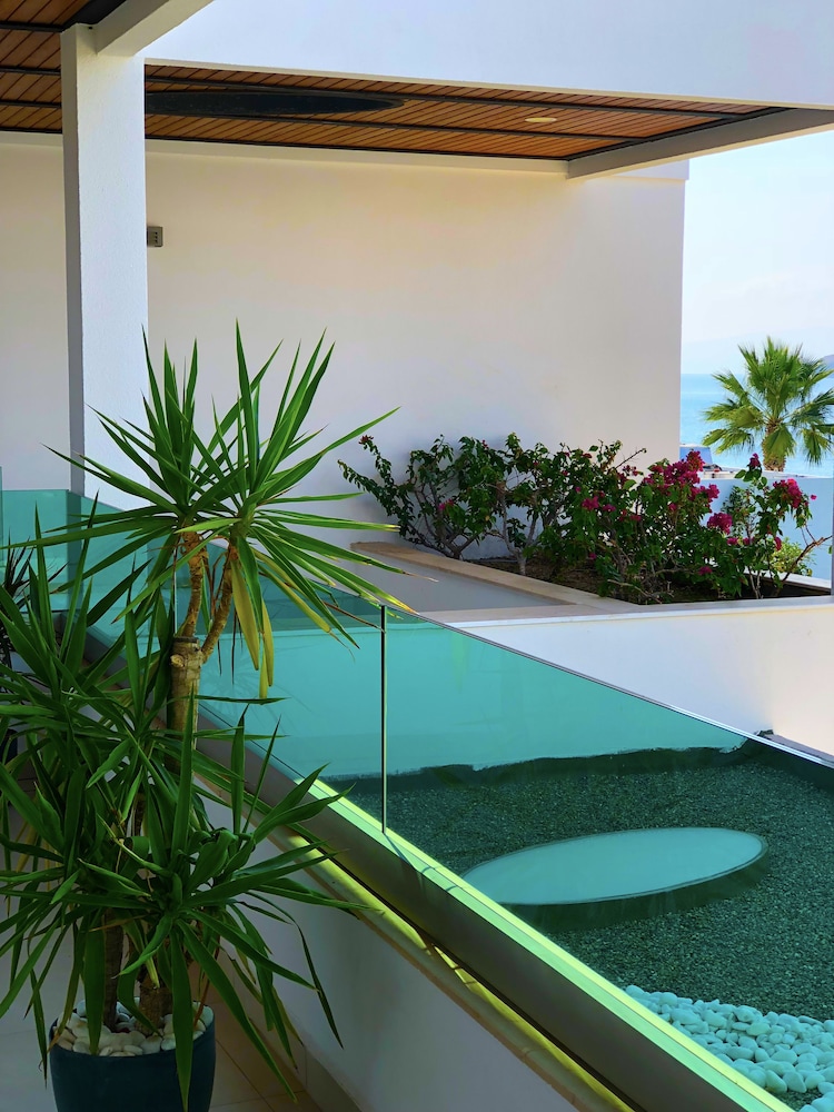 Zest Exclusive Hotel 8/50