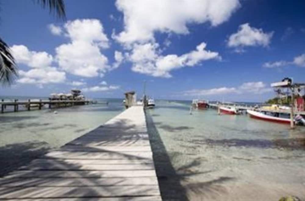 Splash Inn Dive Resort 25/38