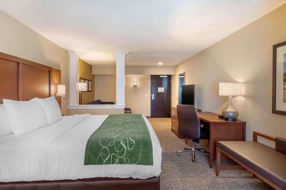 Comfort Inn Suites Schenectady - Scotia 8/44