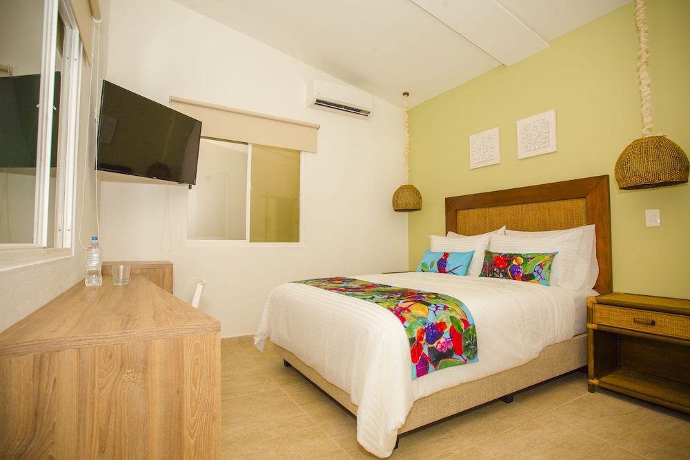Solare Sai Ecohotel 15/73