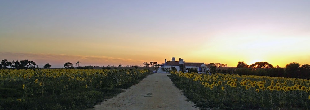 Herdade Do Touril 74/81