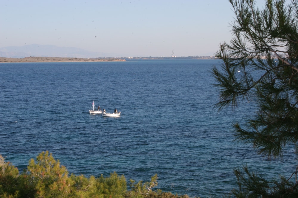 Dionysos Hotel Agistri 42/50