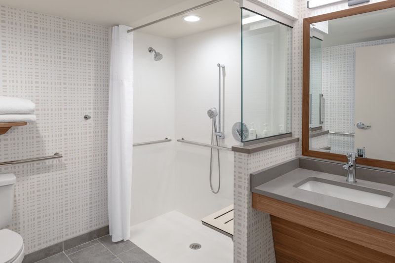 Hampton Inn Washington-Dulles Intl Airport South 35/36
