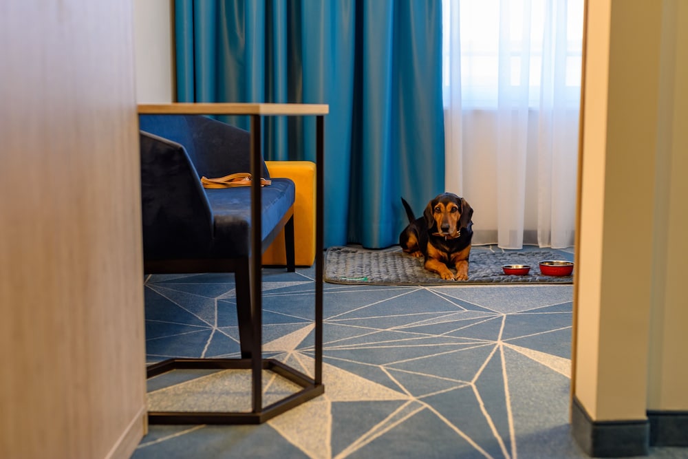 ibis Styles Bad Reichenhall 8/50