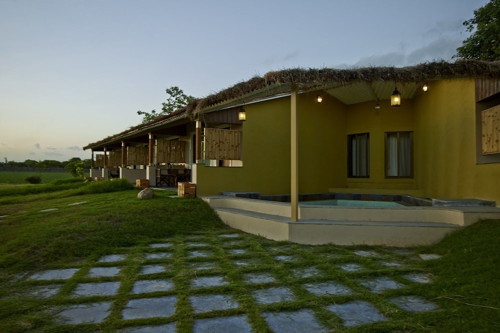 Asiatic Lion Lodge 34/50