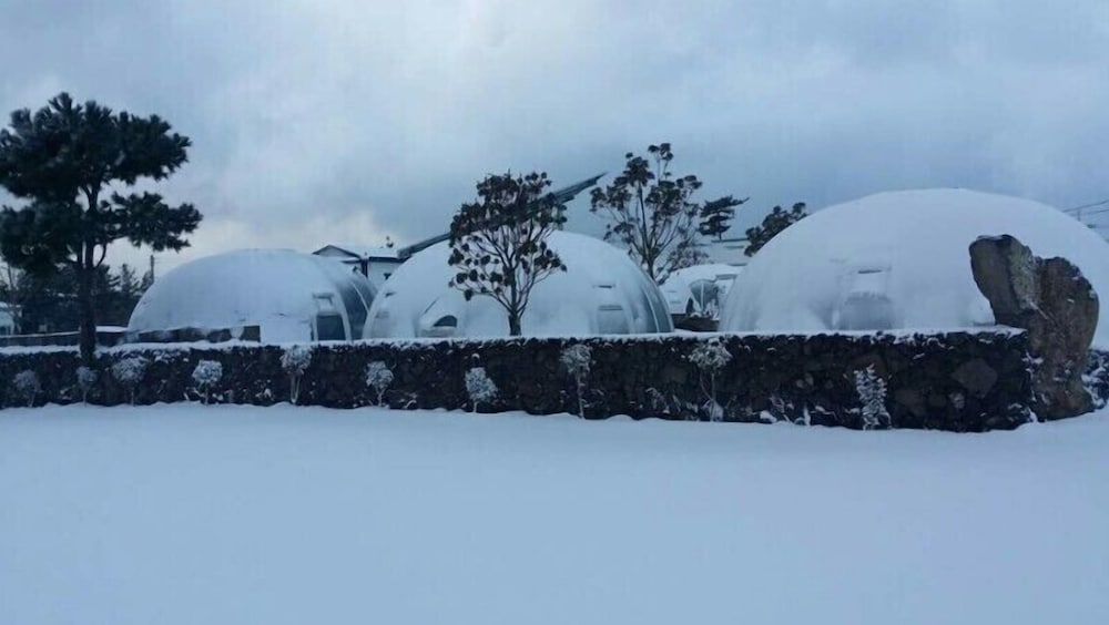 Jeju Igloo Pension 44/45