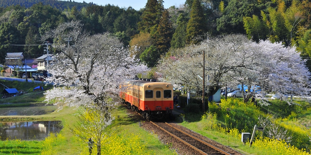 Ichihara Marine Hotel 6/47
