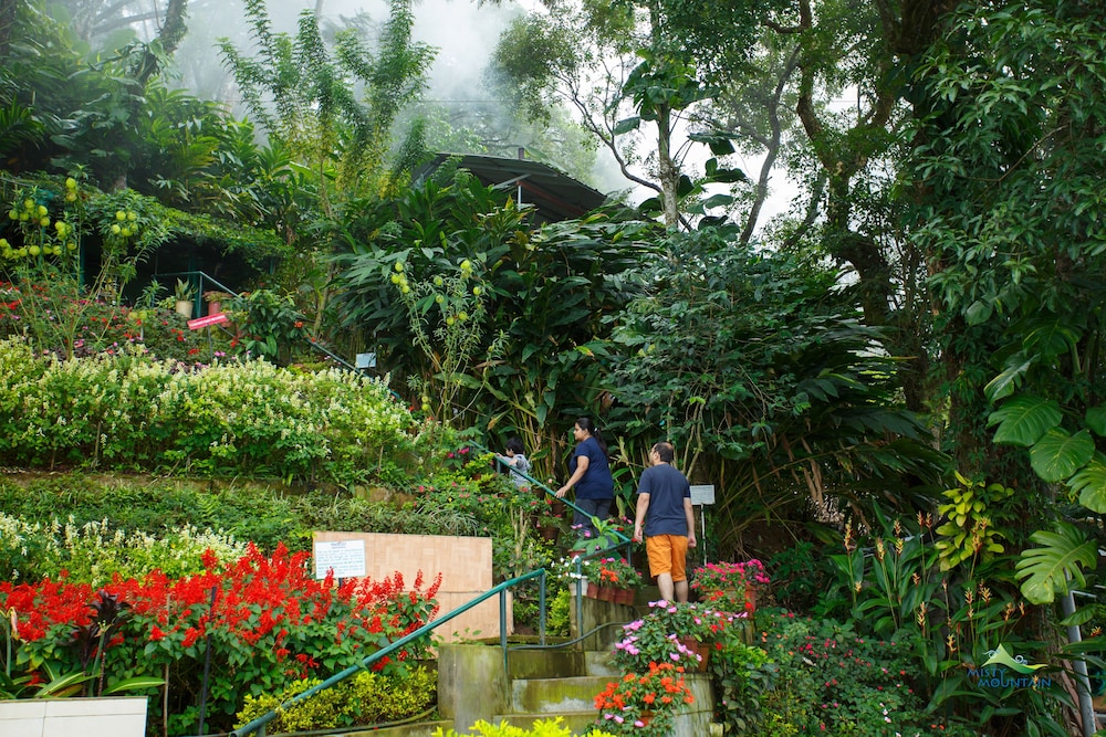 MISTY MOUNTAIN RESORT 50/64