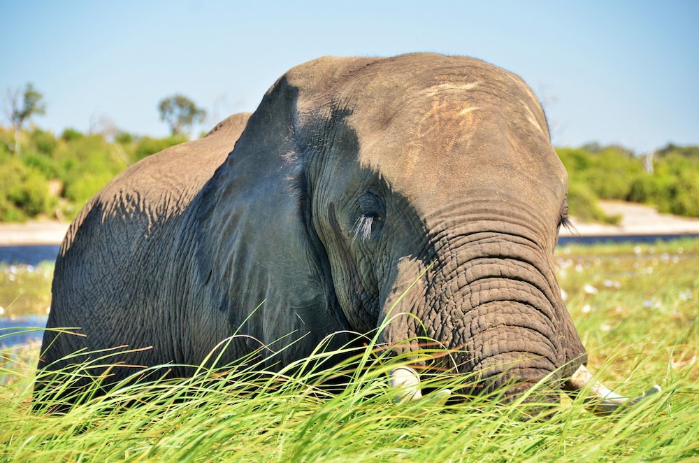 Thebe River Safaris 29/31