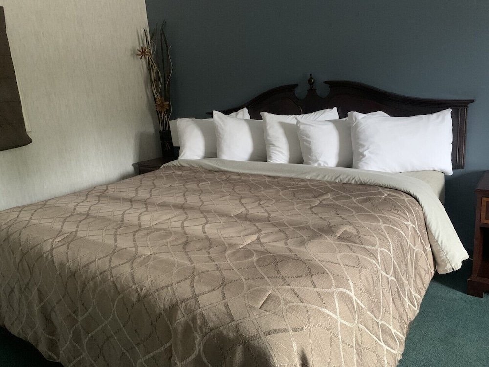 Bancroft Inn and Suites 18/39