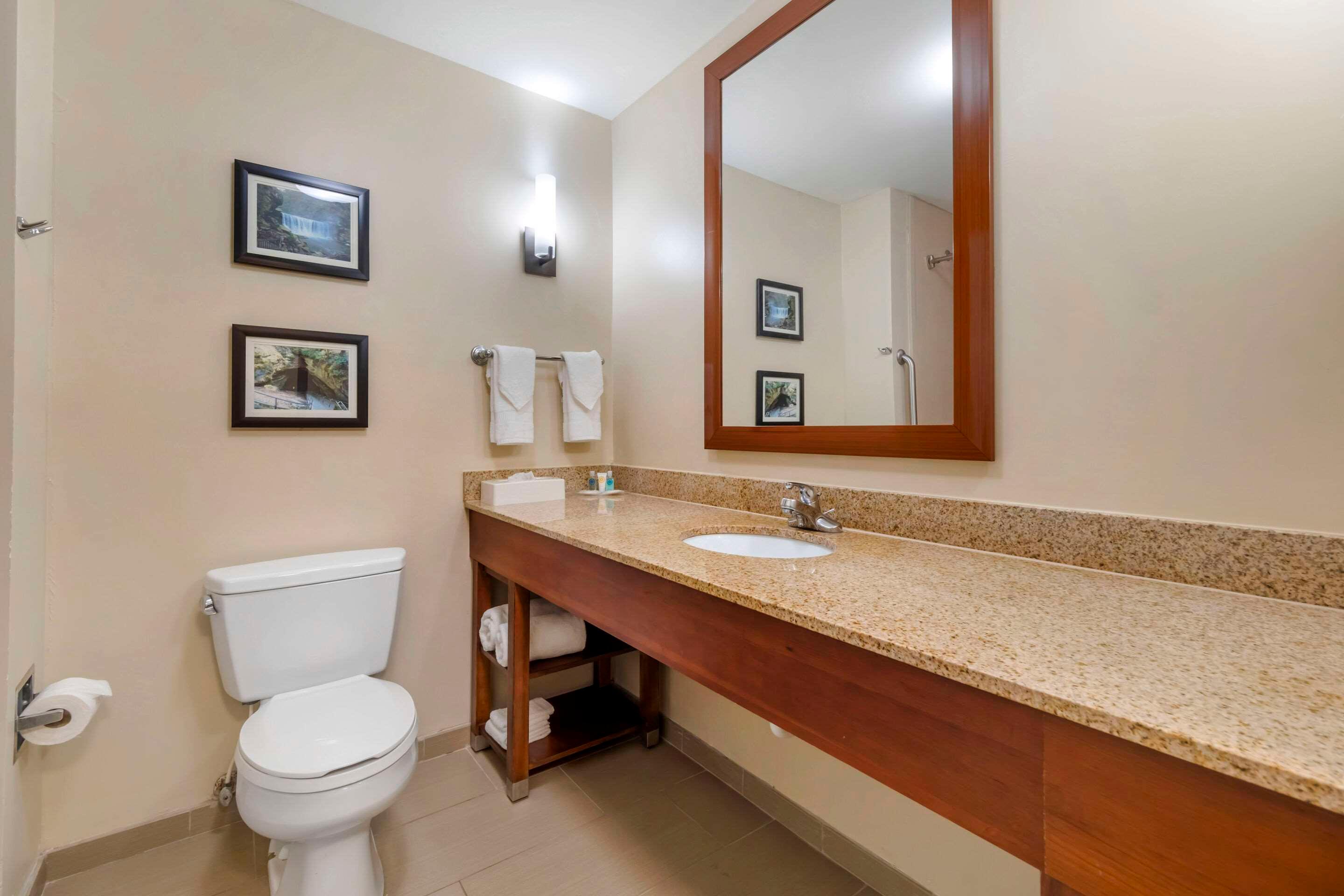 جناح بسرير كينج لذوي الإعاقة، Comfort Suites Elizabethtown 3/3