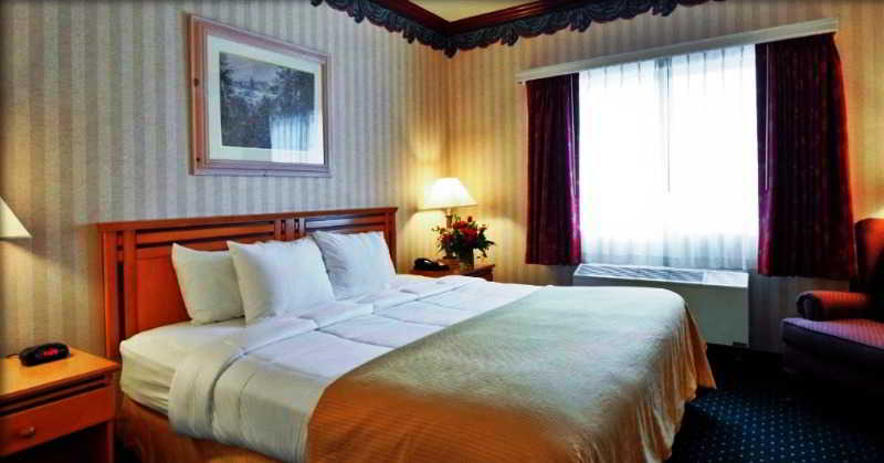 ROOM, KING BED, ACCESSIBLE