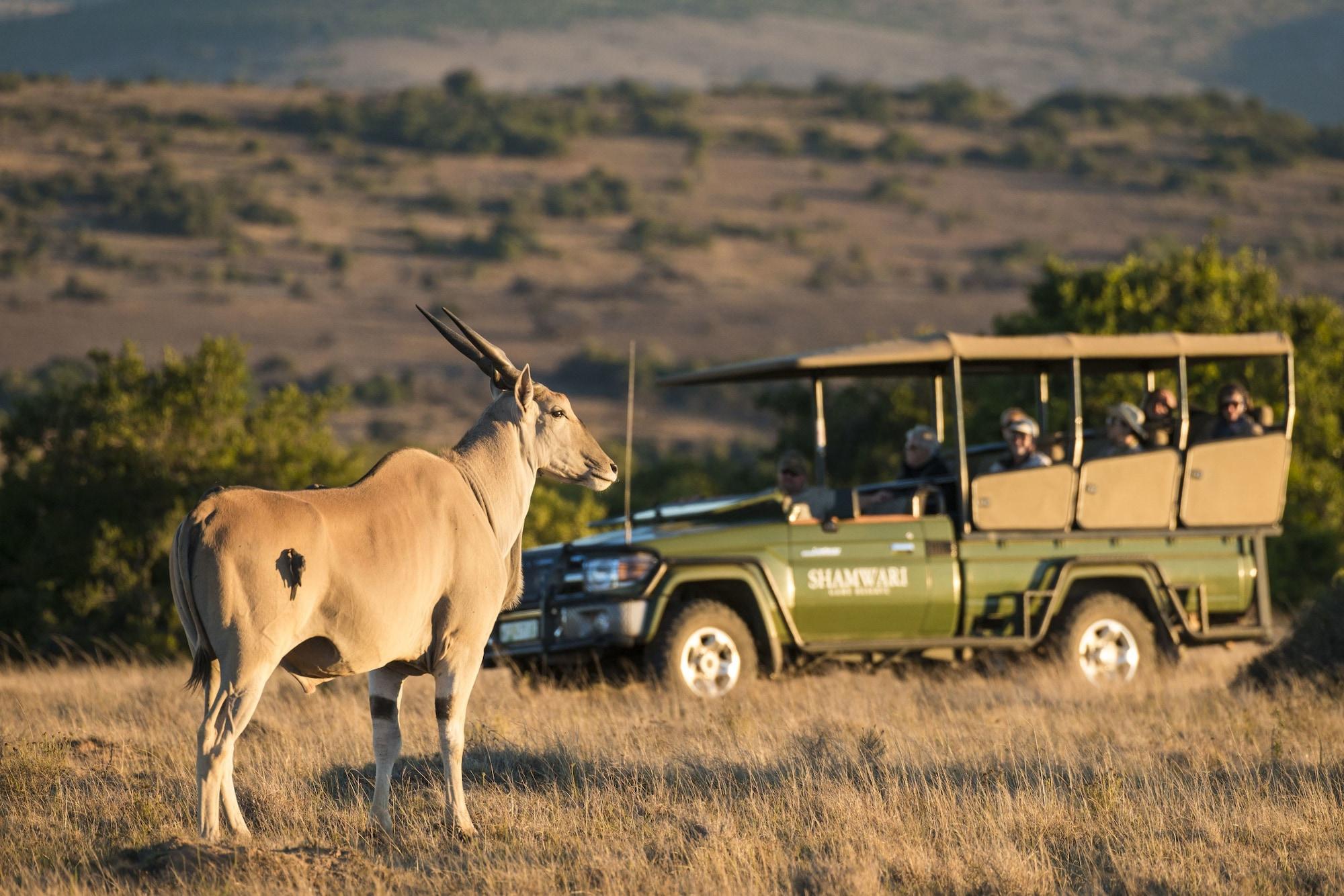 Shamwari Game Reserve - Eagles Crag 53/55