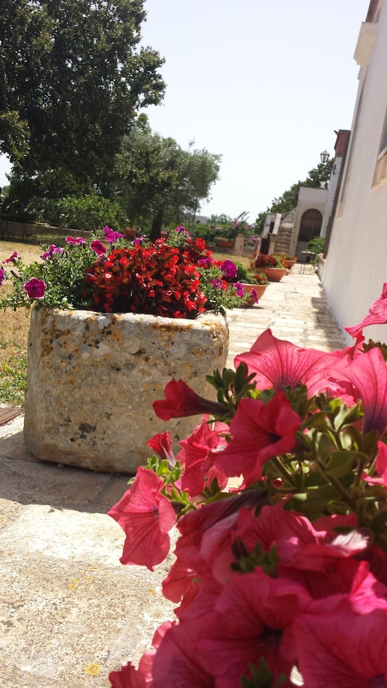Masseria Gianca 5/39