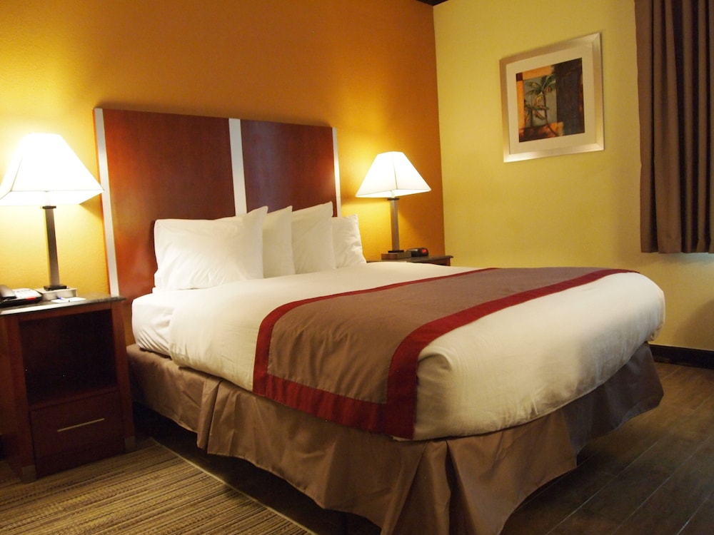 Best Western Ft. Lauderdale I-95 Inn 9/36