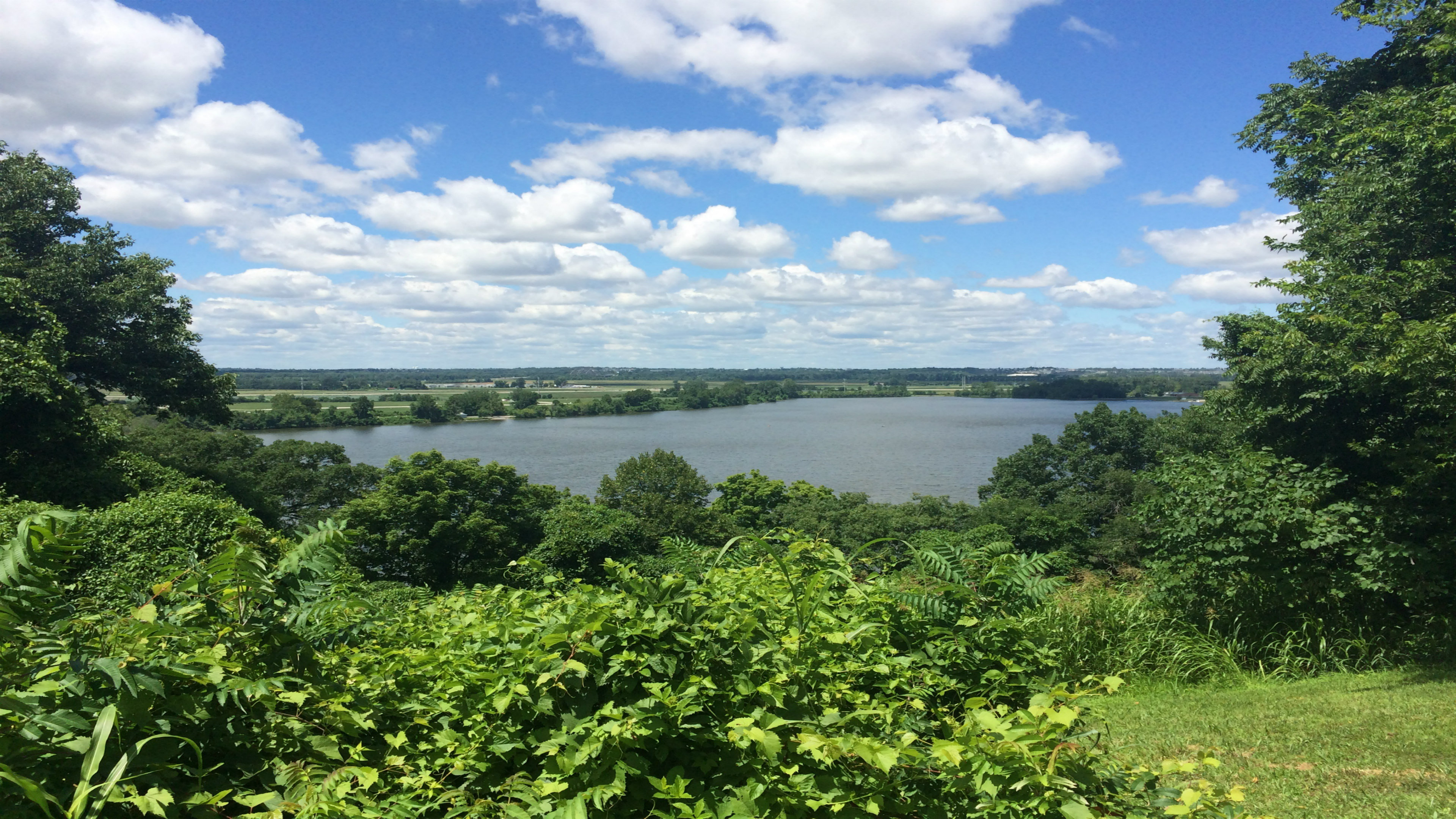 Staybridge Suites St Louis - Westport 32/37