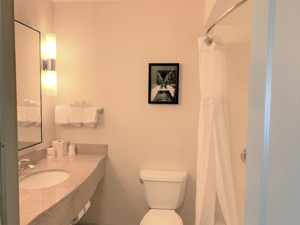 Hilton Garden Inn Albany Medical Center 16/71