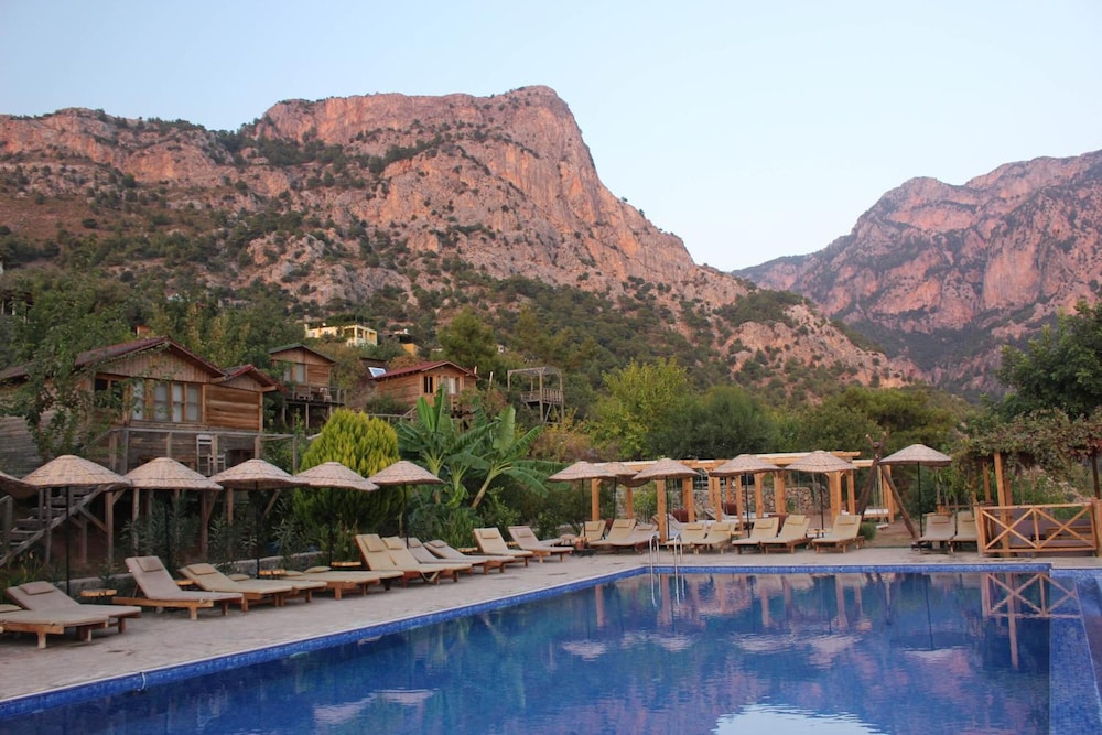 Olive Garden Kabak 38/50
