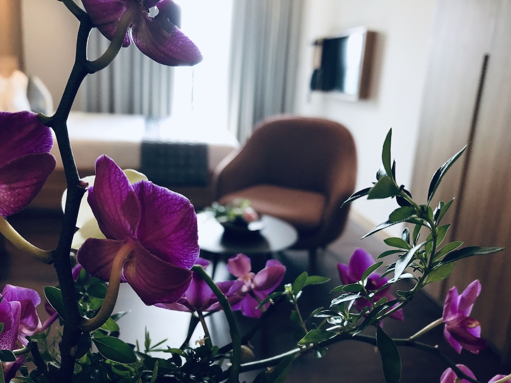 Moon Hotel & Apartment 65/75