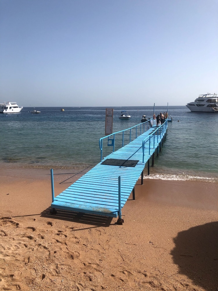 Sharks Bay Umbi Diving Village 23/50