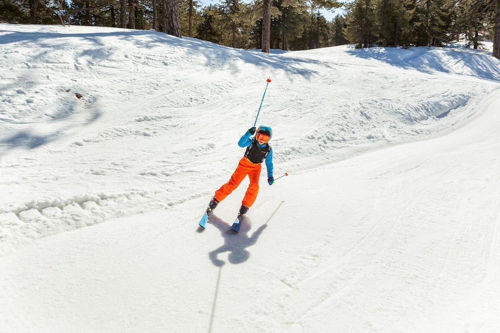 Troodos Hotel 24/50