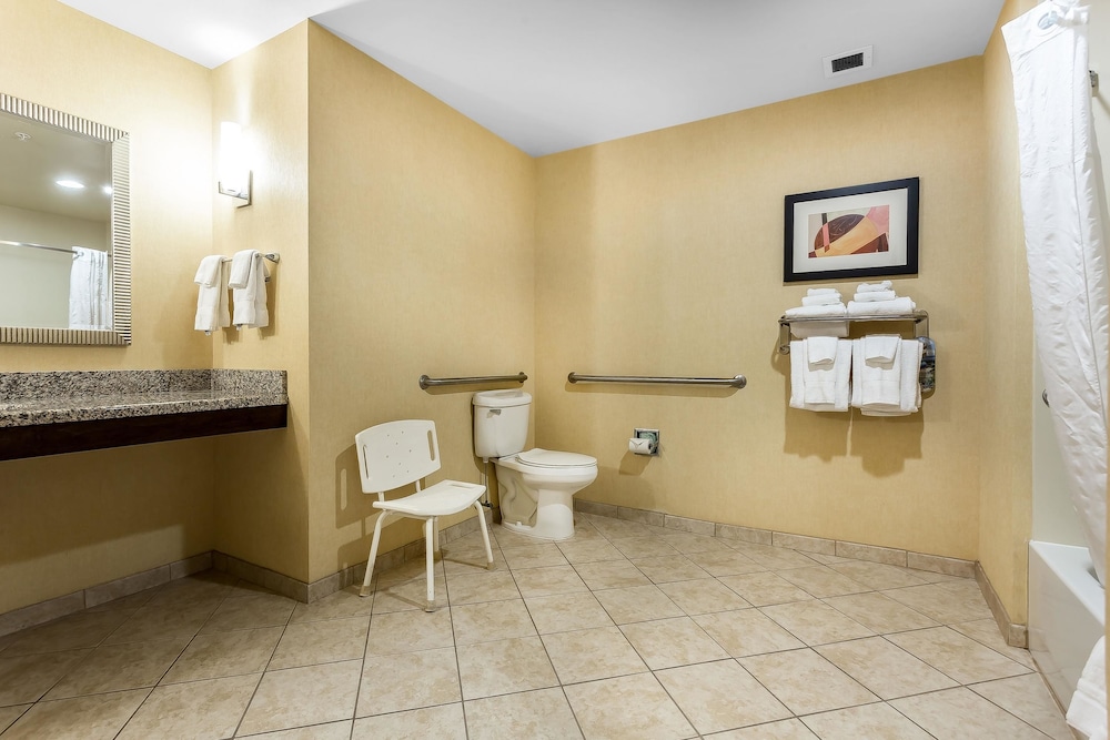 Comfort Suites West of The Ashley 18/46