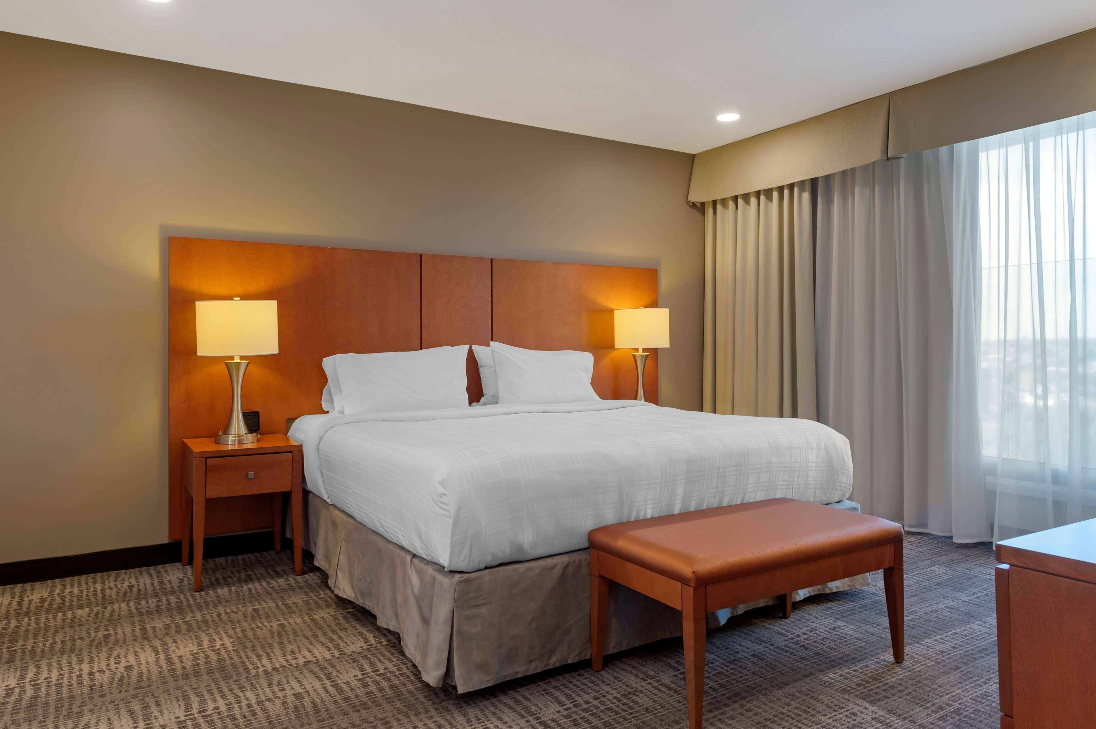 Suite, King Bed
