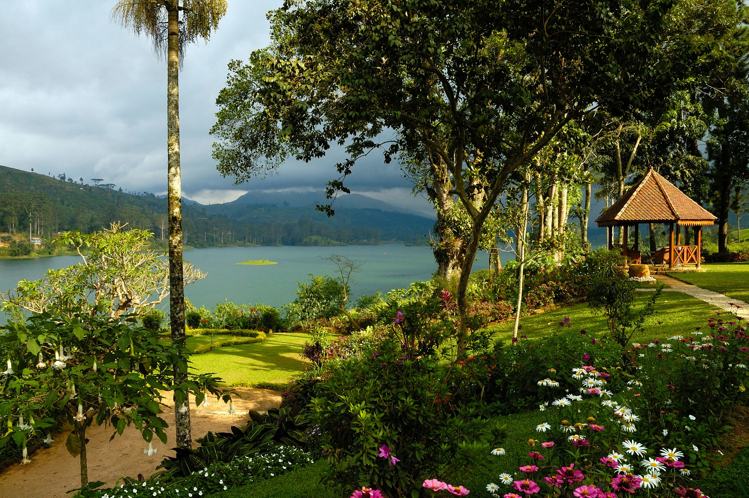 Tea Trails 20/43