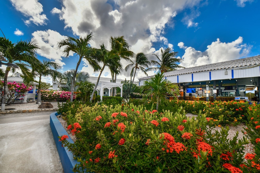 Aruba Blue Village 42/49