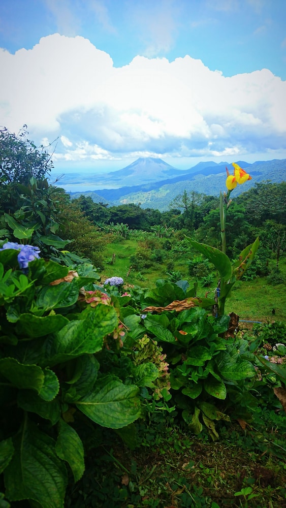 Vista Verde Lodge 32/50