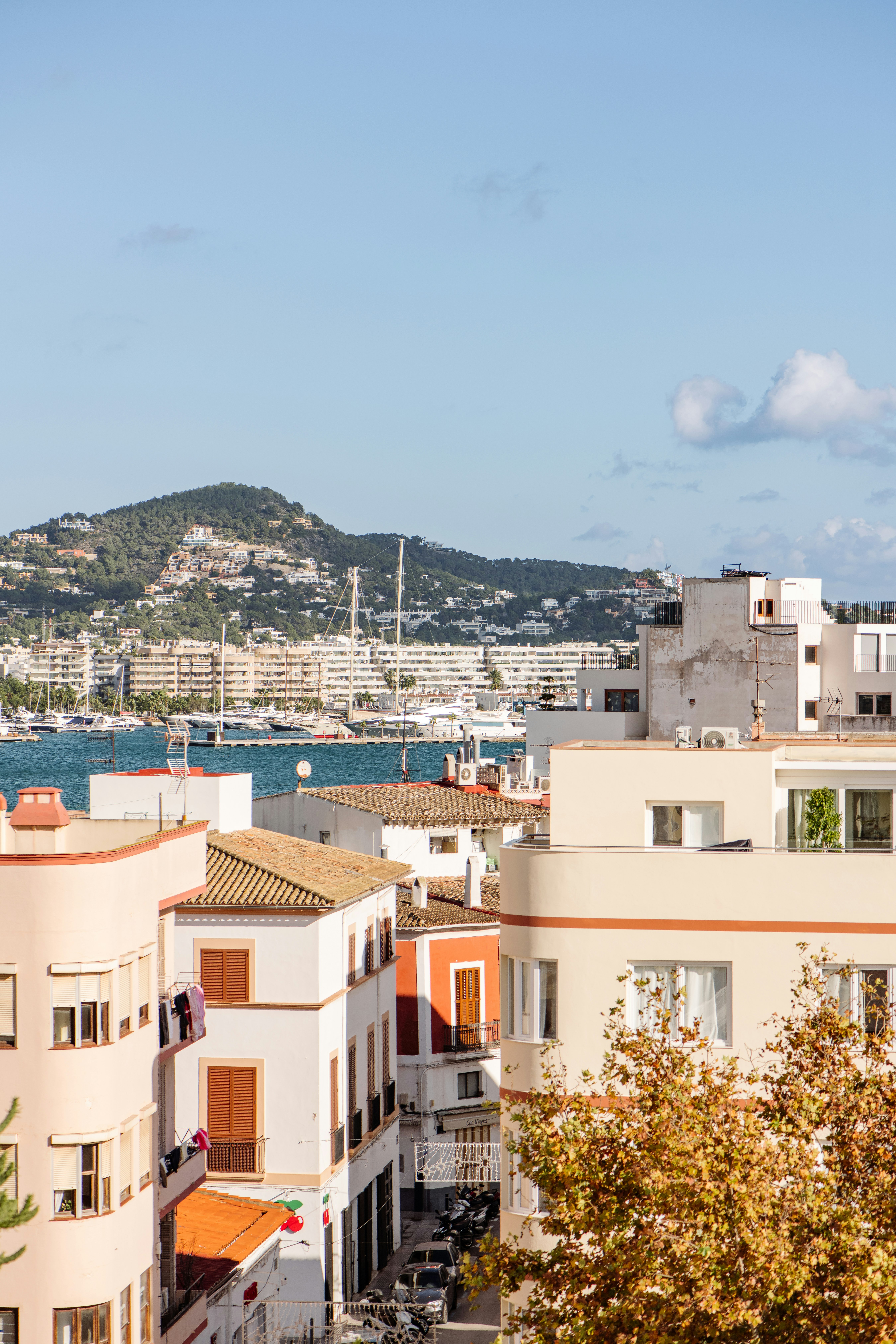 The Standard Ibiza 41/50