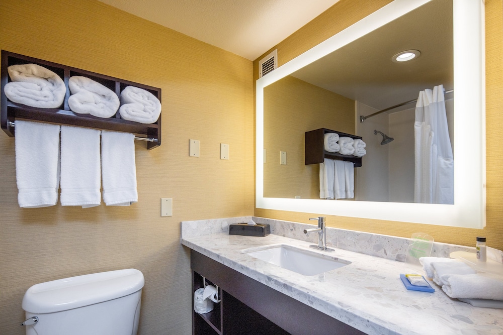 Holiday Inn Express Castro Valley 28/71