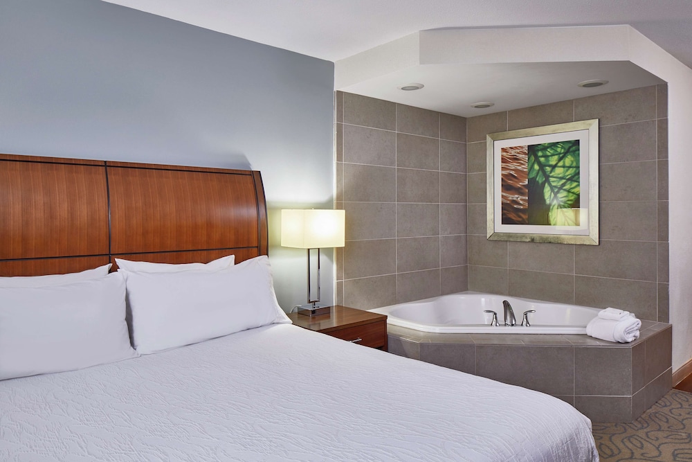Hilton Garden Inn Atlanta Midtown 11/49