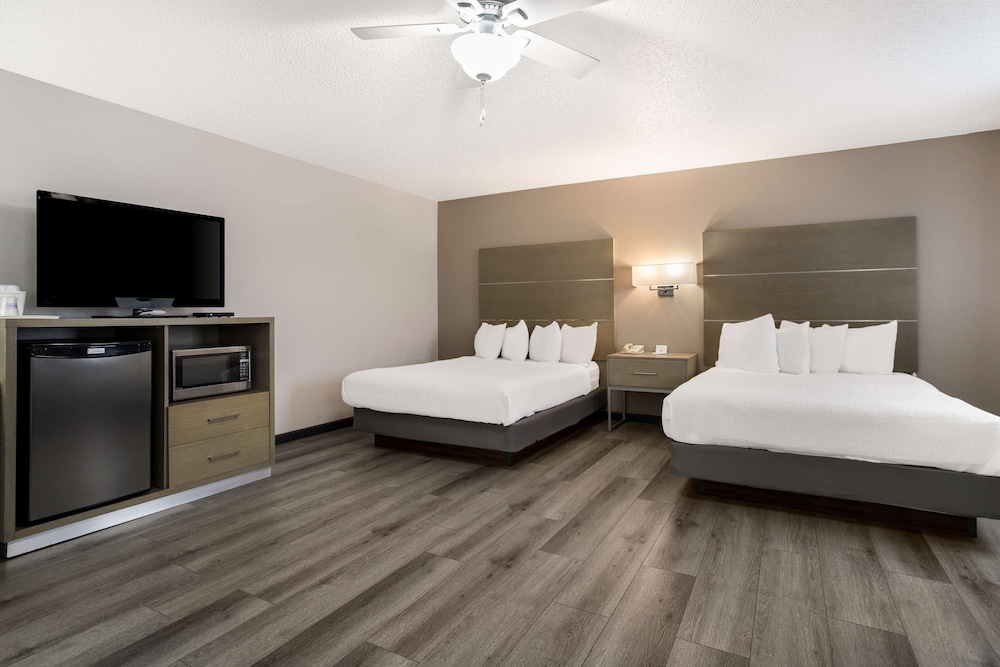 Standard, 2 Queen Beds, Large