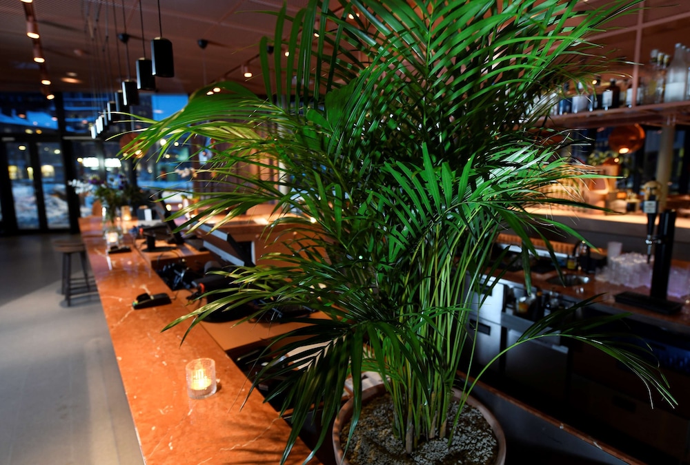 Best Western Plus Grow Hotel 50/54