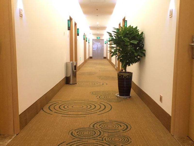 GreenTree Inn YingTan Xinjiang New District Municipal Government Yizhong Hotel 15/29