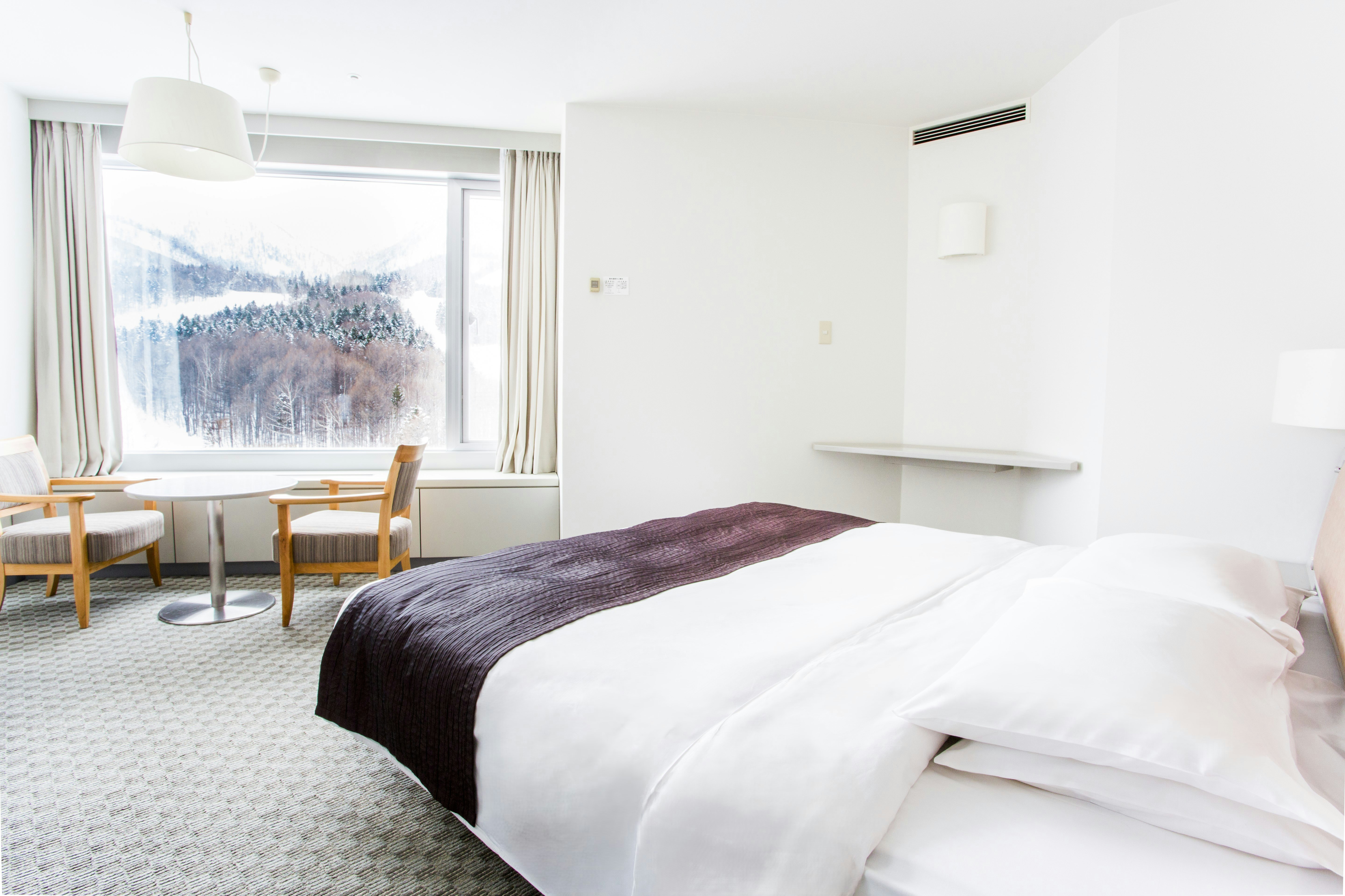 Shin Furano Prince Hotel 17/50