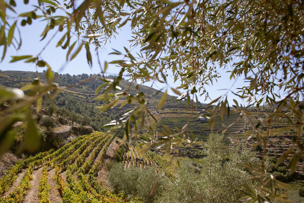 Hotel Rural Quinta do Silval 39/56