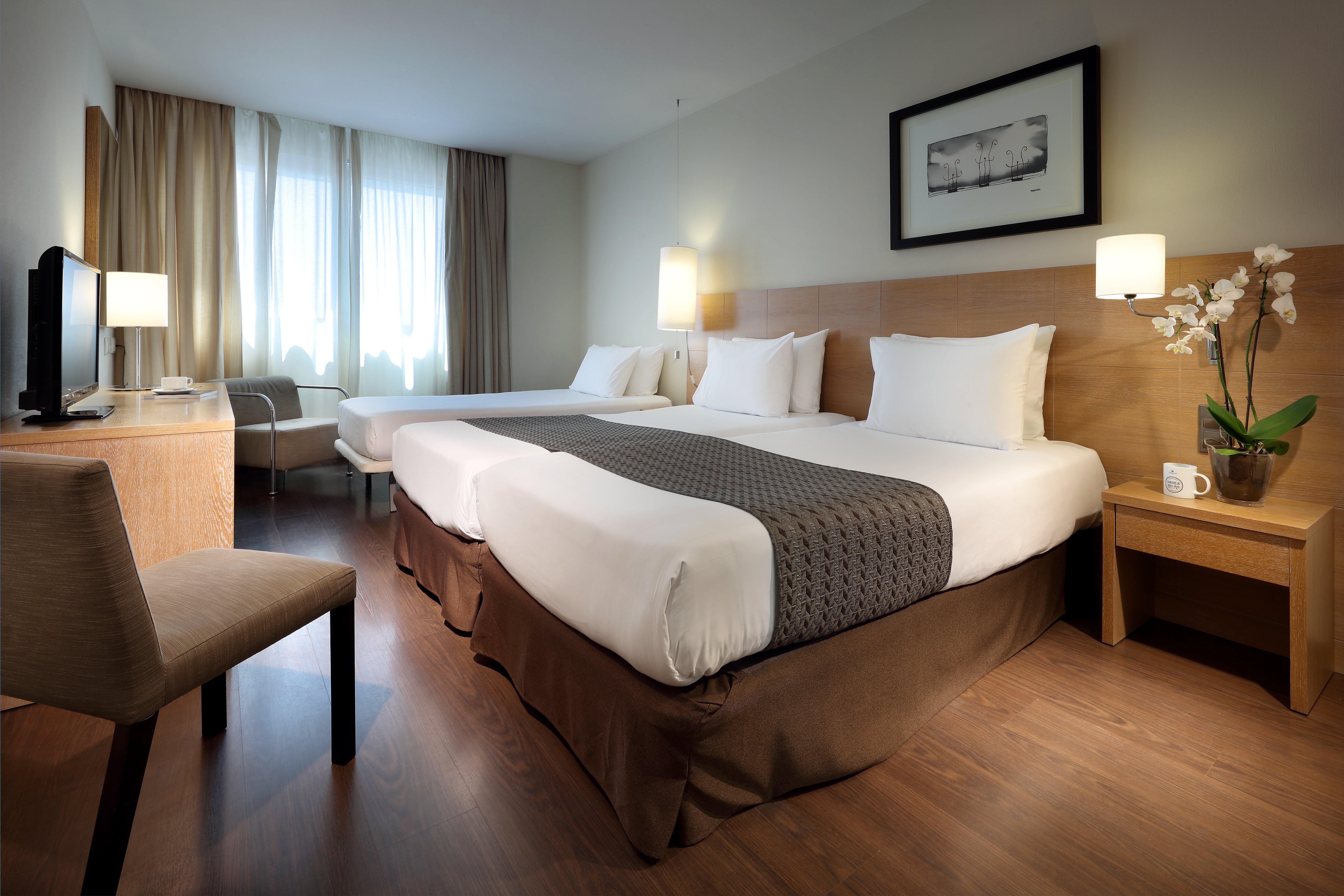 Eurostars Lucentum 15/50