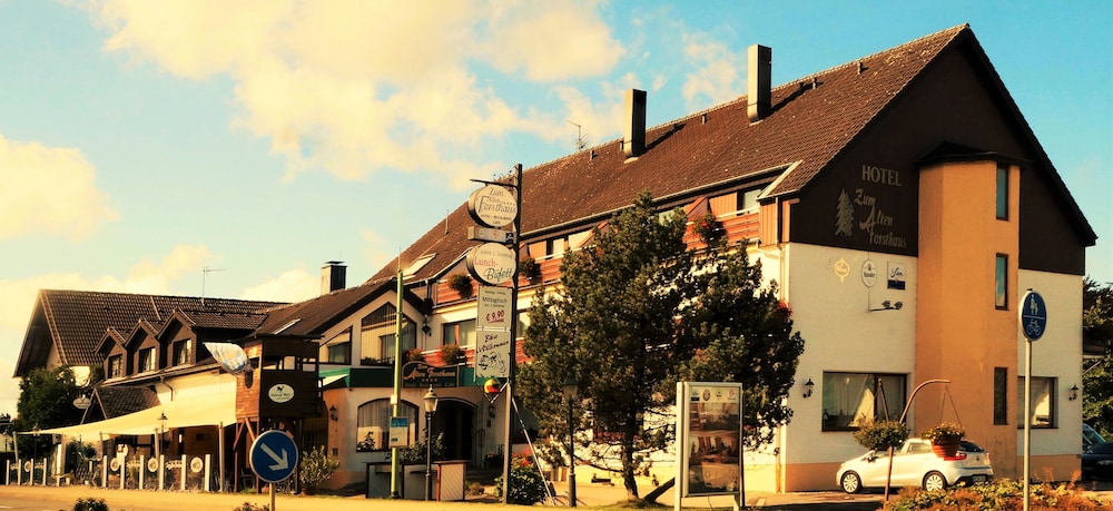 Hotel Zum Alten Forsthaus 2/18